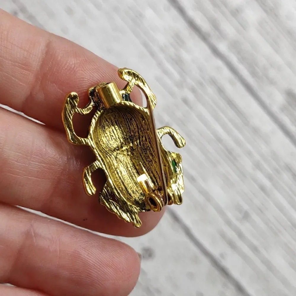 Beetle Brooch Pin.  P1